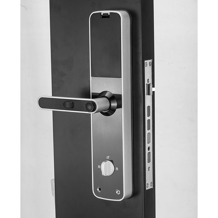 OAC Zinc Alloy Smart Wifi Biometric Fingerprint Access Control Door Lock for Office